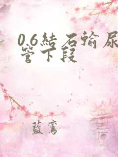 0.6结石输尿管下段