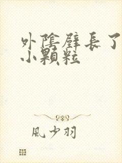 外阴壁长了很多小颗粒