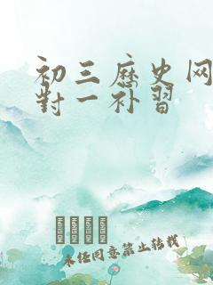 初三历史网上一对一补习