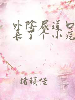 外阴尿道口旁边长了个小疙瘩