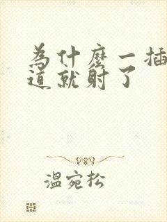 为什么一插入阴道就射了