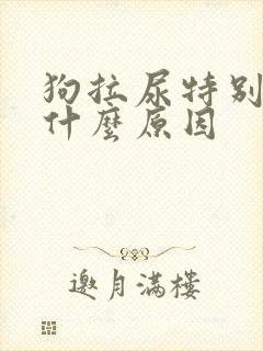 狗拉尿特别黄是什么原因