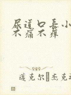 尿道口长小肉粒不痛不痒