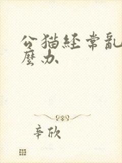 公猫经常乱尿怎么办