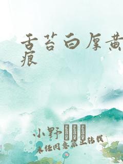 舌苔白厚黄有齿痕