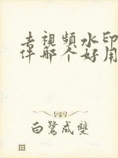 去视频水印的软件哪个好用