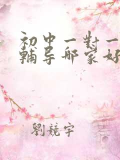 初中一对一上门辅导哪家好