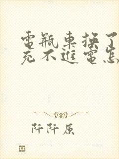 电瓶车换了电瓶充不进电怎么回事