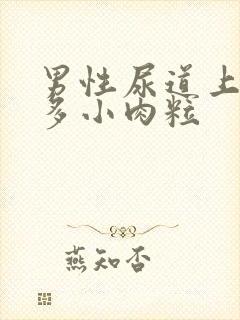 男性尿道上有好多小肉粒