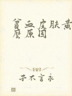 贫血皮肤黄是什么原因