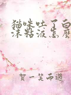 猫咪吐了白色泡沫粘液怎么办