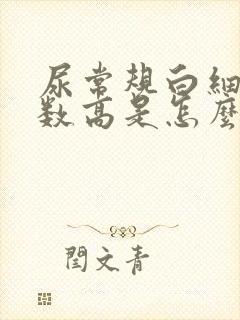 尿常规白细胞计数高是怎么回事