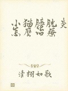 小猫膀胱炎尿血怎么治疗