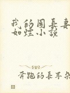 我的团长妻子柳如烟小说