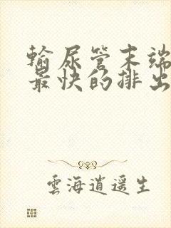 输尿管末端结石最快的排出方法