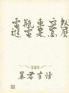 电瓶车突然充不进电是怎么回事