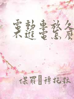 电动车放久了充不进电怎么办