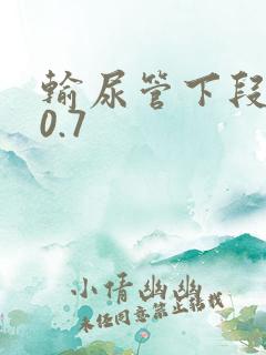 输尿管下段结石0.7