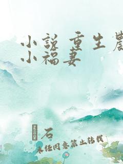 小说 重生农门小福妻