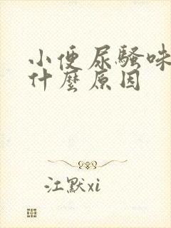 小便尿骚味重是什么原因