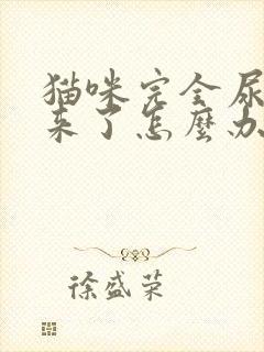 猫咪完全尿不出来了怎么办