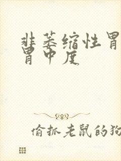 非萎缩性胃炎全胃中度