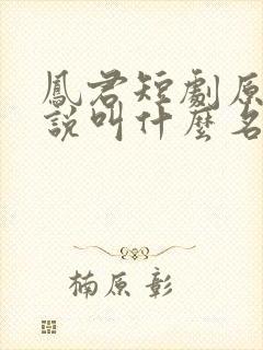 凤君短剧原著小说叫什么名字