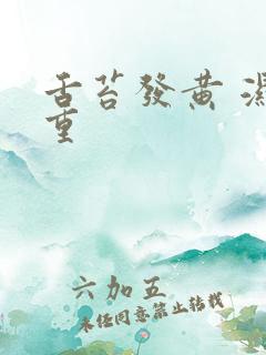 舌苔发黄 湿气重