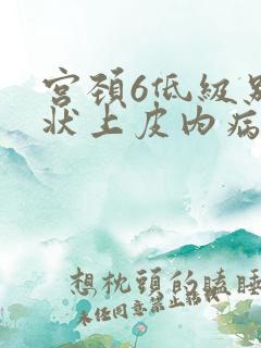 宫颈6低级别鳞状上皮内病变是什么意思?