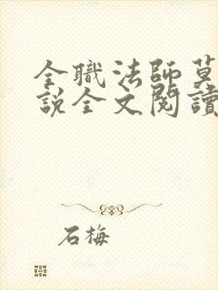 全职法师莫凡小说全文阅读免费