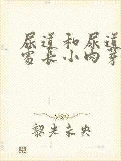 尿道和尿道连接处长小肉芽