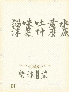 猫咪吐黄水有泡沫是什么原因