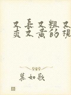 又长又粗又猛又爽又黄的视频在线播放