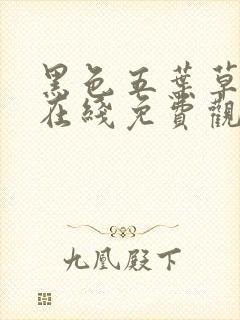 黑色五叶草全集在线免费观看