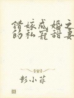 错嫁成婚之总裁的私宠甜妻免费阅读