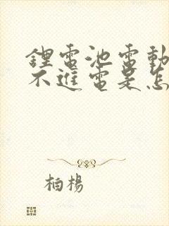锂电池电动车充不进电是怎么回事
