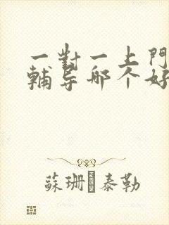 一对一上门家教辅导哪个好