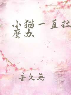 小猫一直拉稀怎么办