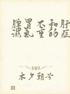 脾胃不和肝火旺湿气重的症状