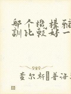 哪个机构雅思培训比较好一点