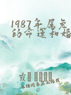 1987年属兔的命运和婚姻怎么样?