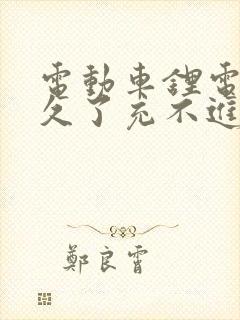 电动车锂电池放久了充不进去电怎么办