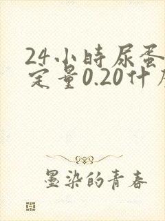 24小时尿蛋白定量0.20什么意思