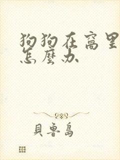 狗狗在窝里拉尿怎么办