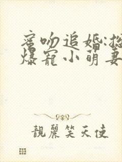 蜜吻追婚:总裁爆宠小萌妻