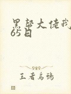 黑帮大佬我的365日