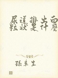 尿道排出白色颗粒状是什么东西