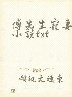 傅先生宠妻无度小说txt