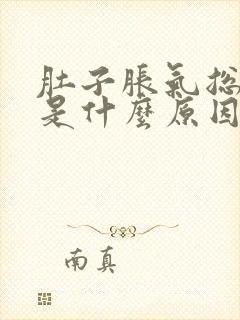 肚子胀气总放屁是什么原因