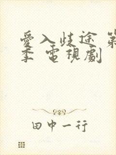 爱入歧途 第一季 电视剧